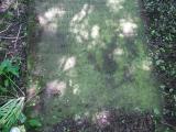 image of grave number 424437